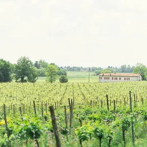 https://la-cascinetta.it-lombardy.com